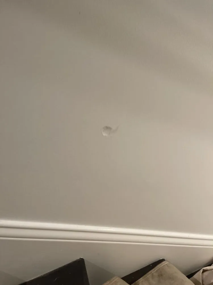 Slide of Absolute Services