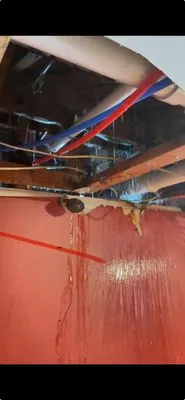 Absolute Services Logo