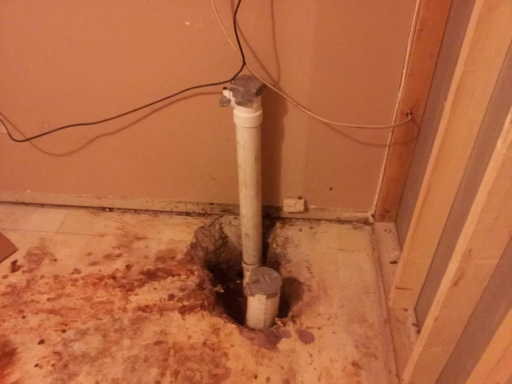 Slide of Absolute Services