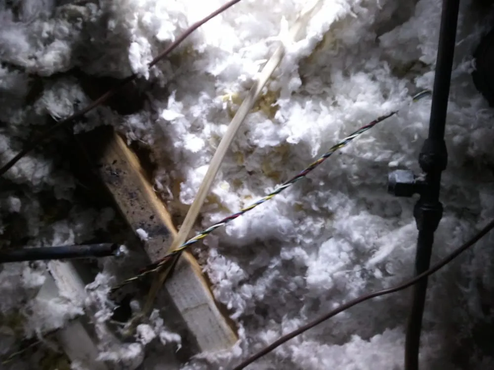 Slide of Absolute Services