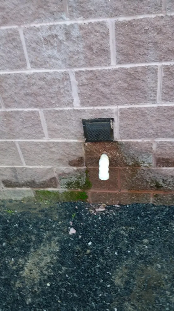 Slide of Absolute Services