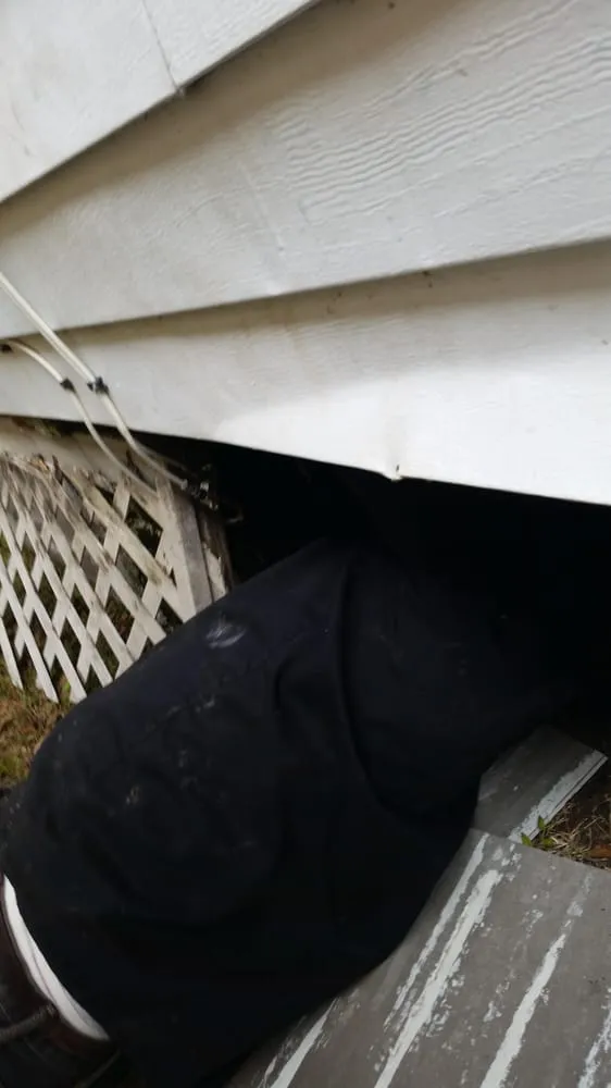 Slide of Absolute Services