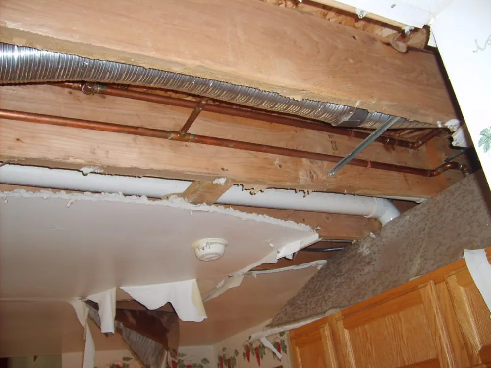 Slide of Absolute Water Damage