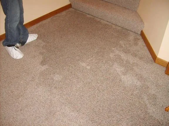 Slide of Absolute Water Damage