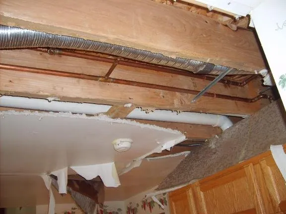 Slide of Absolute Water Damage