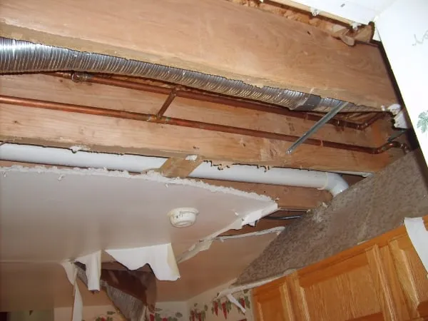 Slide of Absolute Water Damage