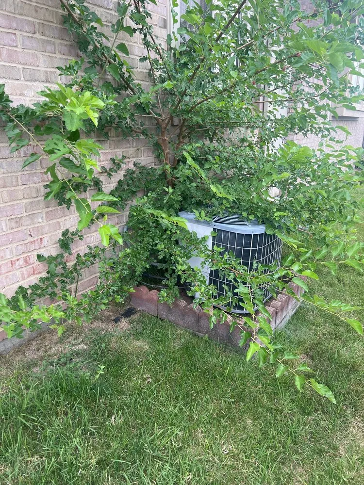 Slide of Abundant Improvements