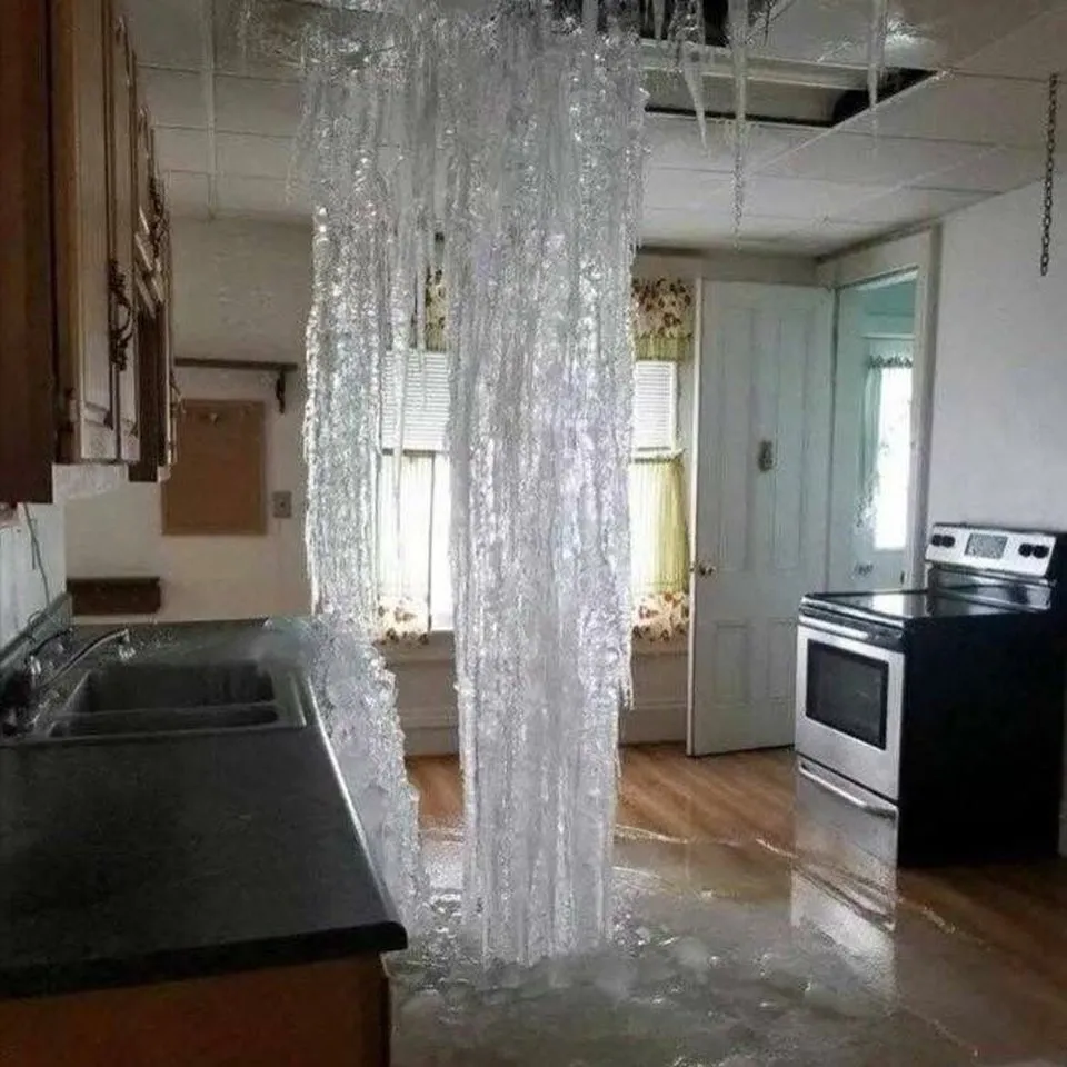 Slide of Access Services Group