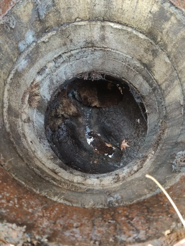 Reliable leak detection in Citrus Heights, CA by Access Sewer