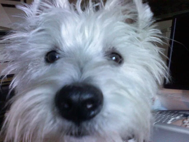 Slide of Acclaim Plumbing & Drains