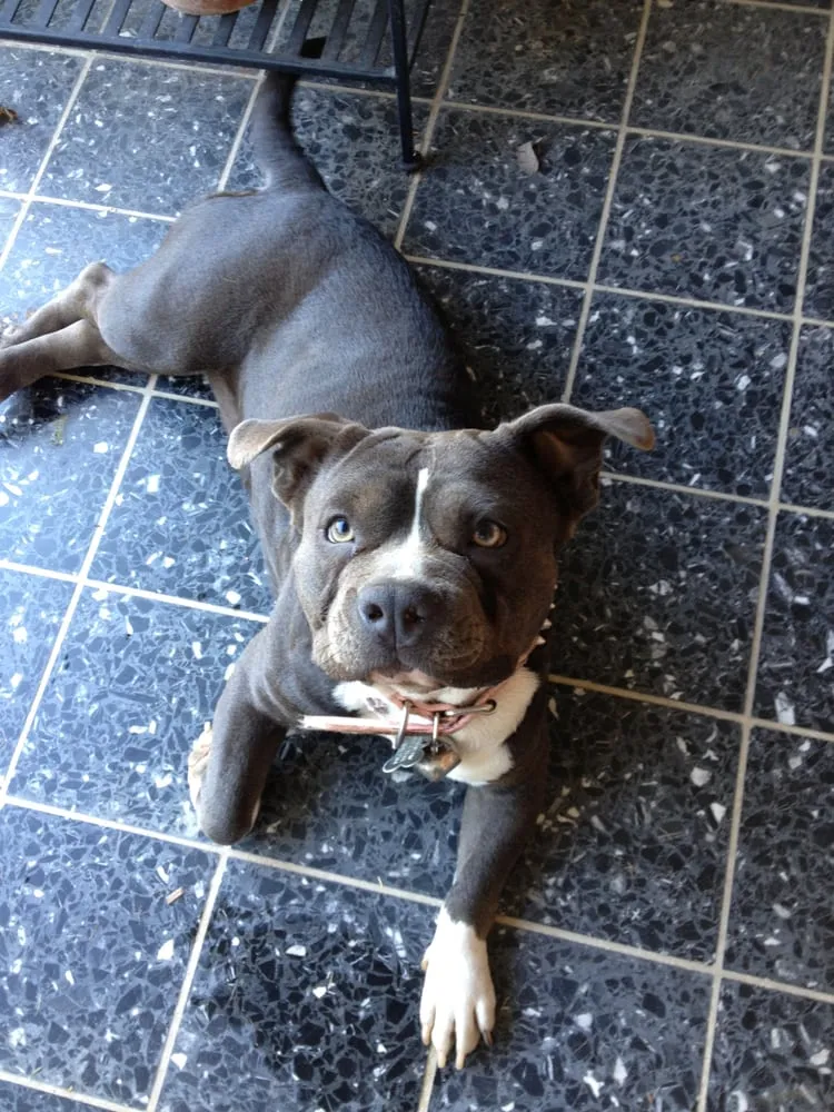 Slide of Accolade Plumbing