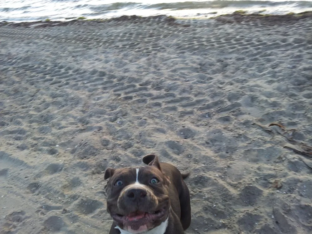 Slide of Accolade Plumbing