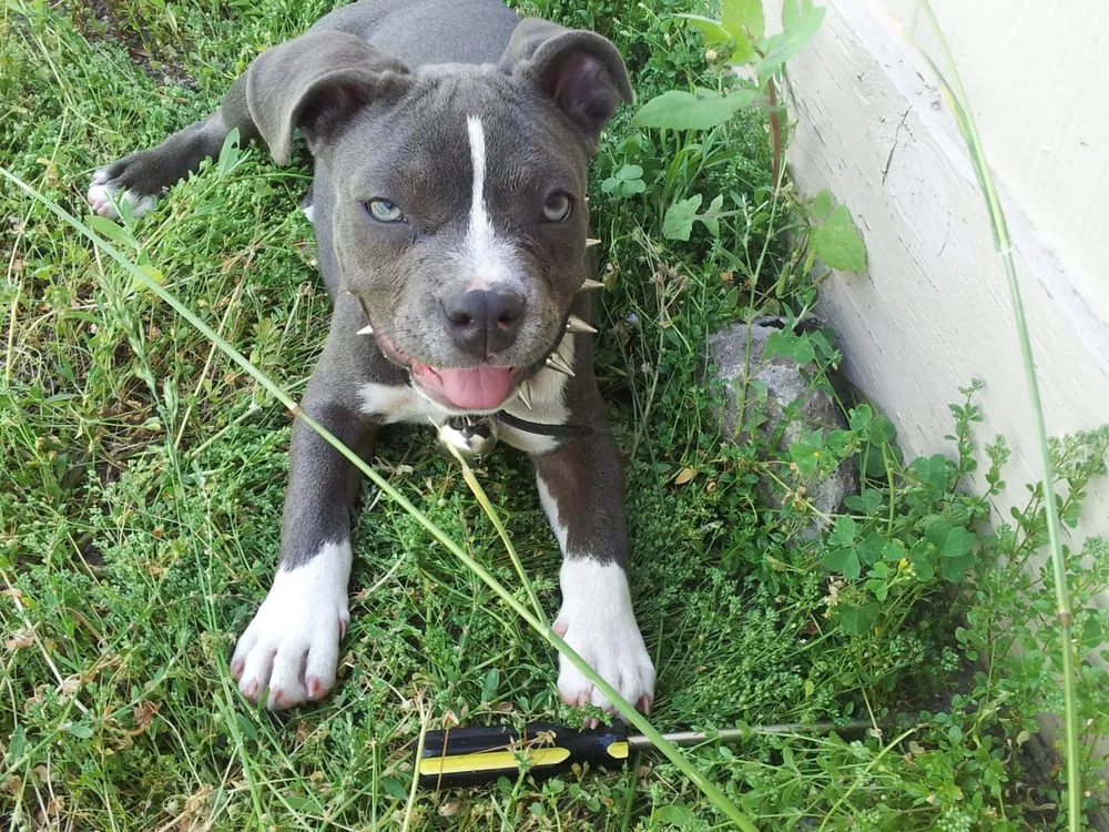 Slide of Accolade Plumbing