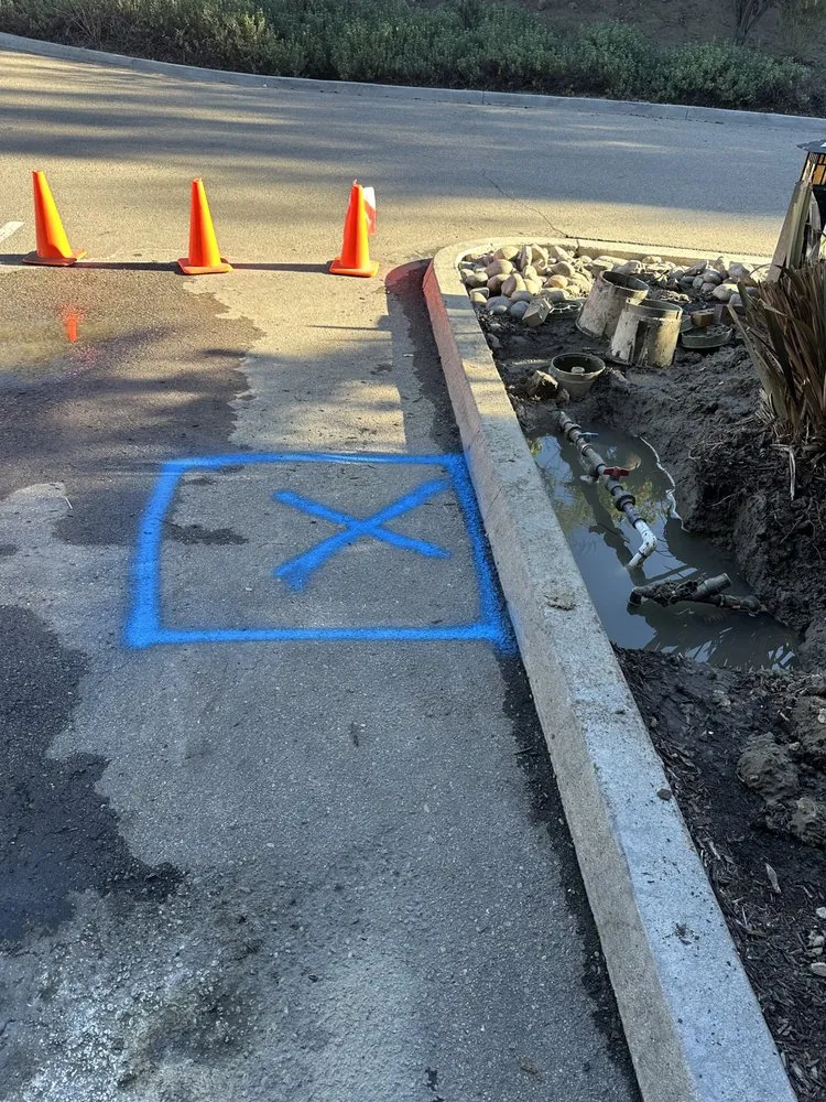 Slide of Acculine Leak Detection