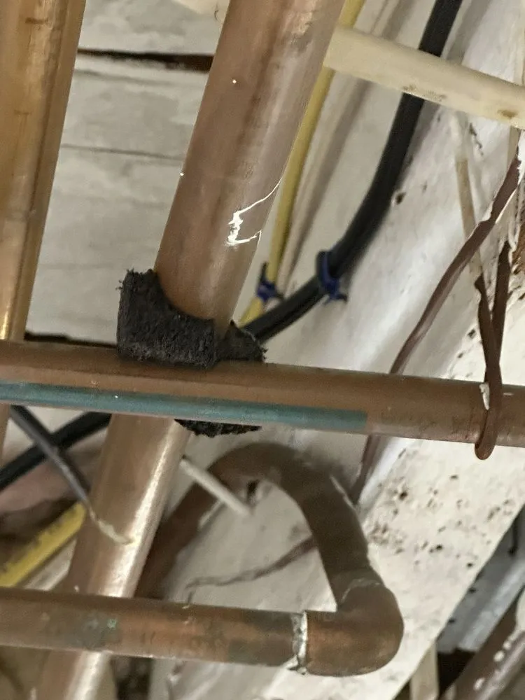 Slide of Accurate Baker Elman