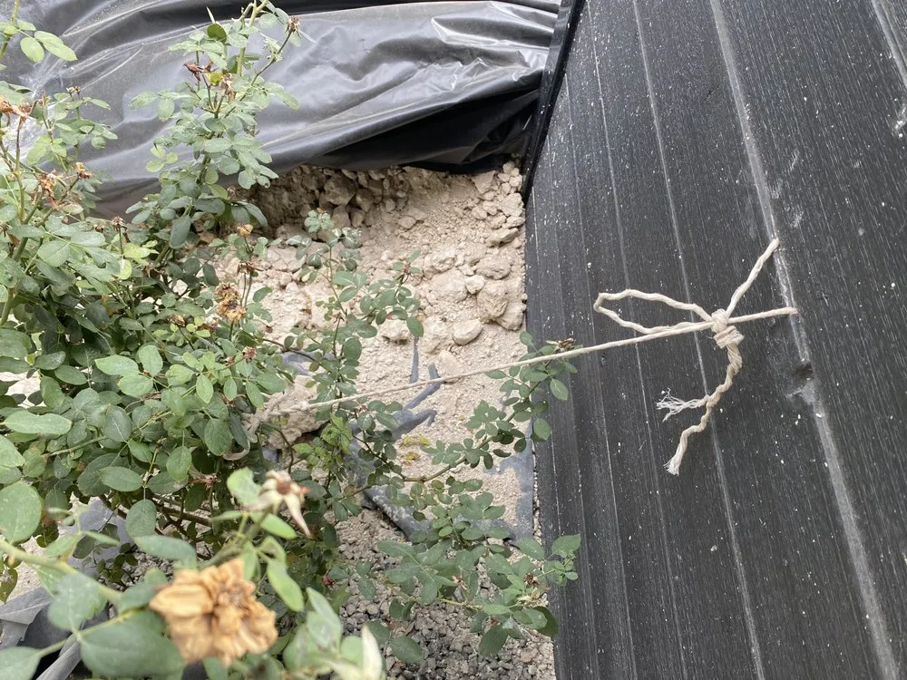 Slide of Accurate Leak and Line - Austin