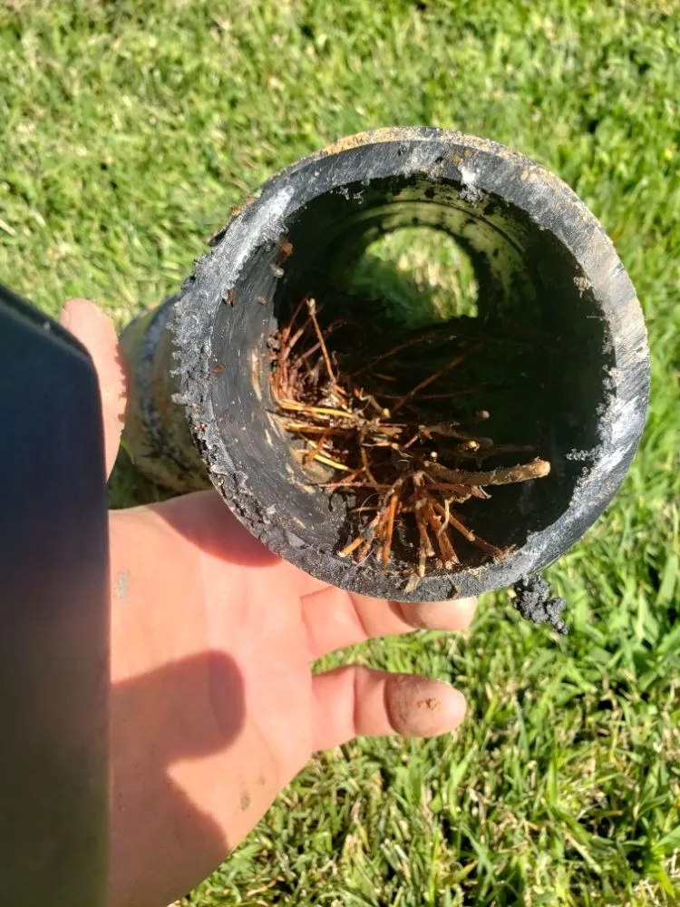 Slide of Ace Drain & Rooter Service