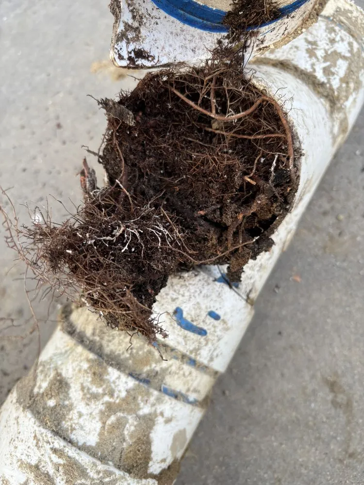 Slide of Ace Drain & Rooter Service