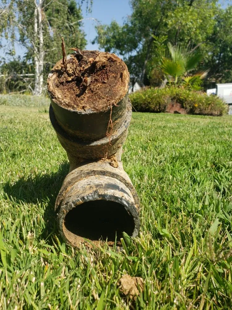 Slide of Ace Drain & Rooter Service