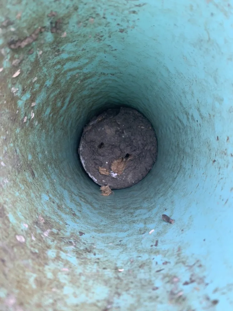 Slide of Ace Drain and Sewer Experts