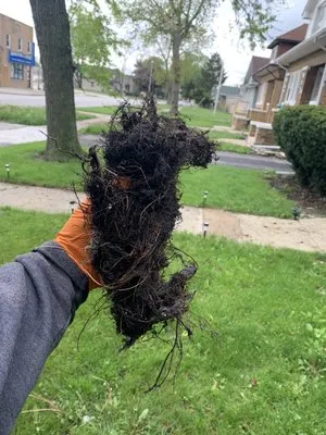 Ace Drain and Sewer Experts