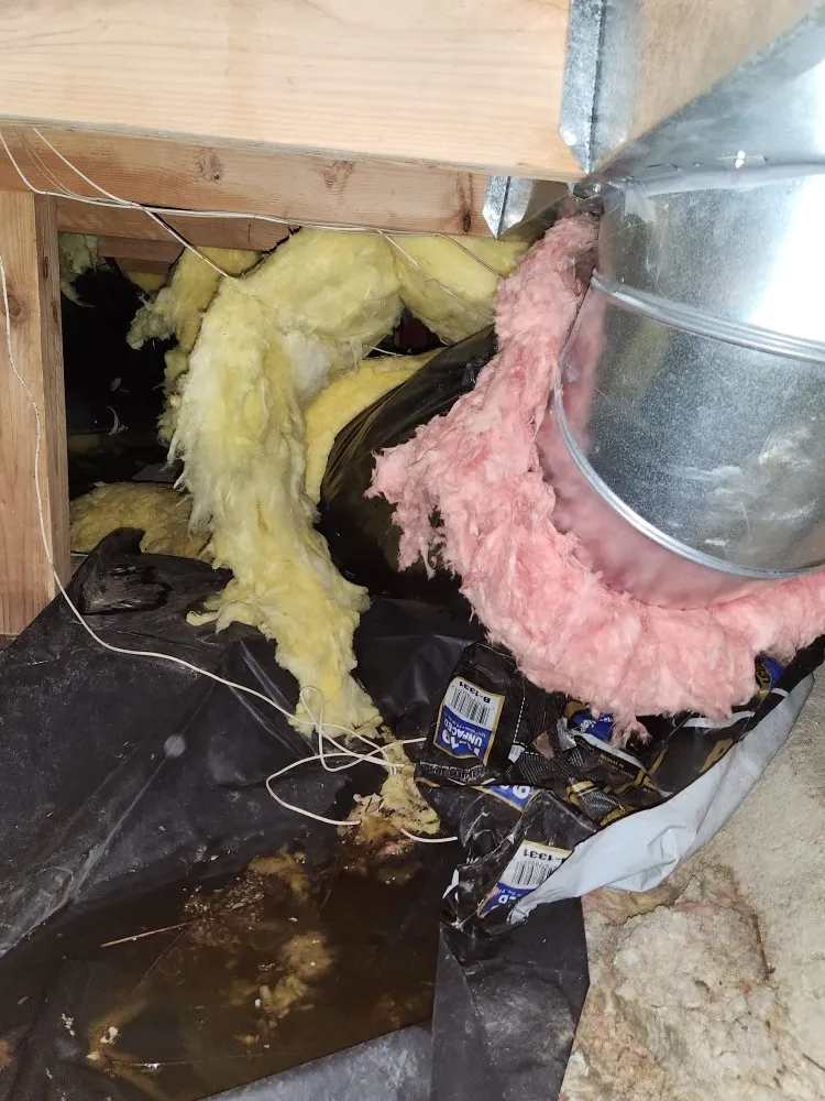 Slide of Ace Flood Response