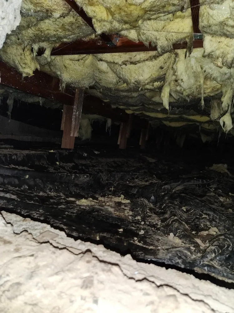 Slide of Ace Flood Response