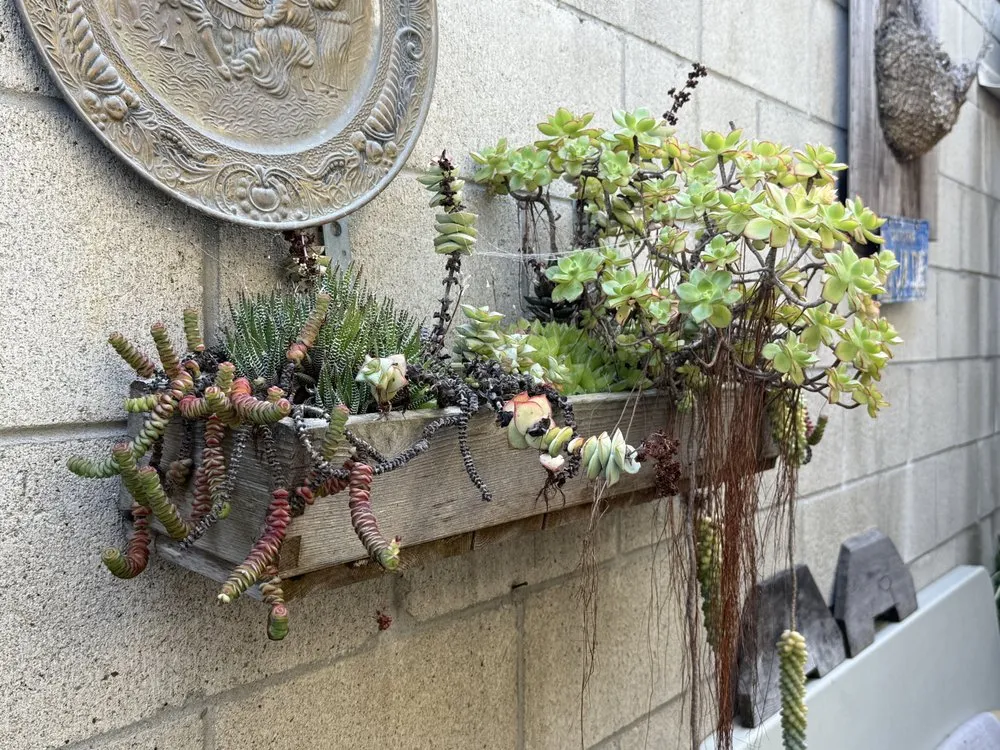 Slide of ACE Home Repair