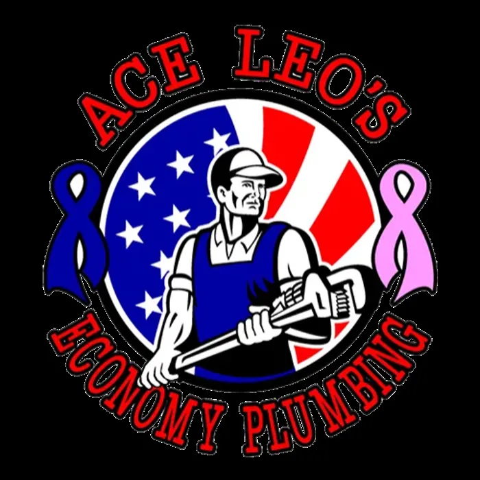Slide of Ace Leo's & Economy