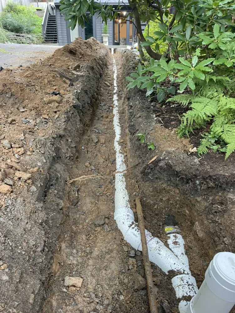 Slide of Ace of Drains and More