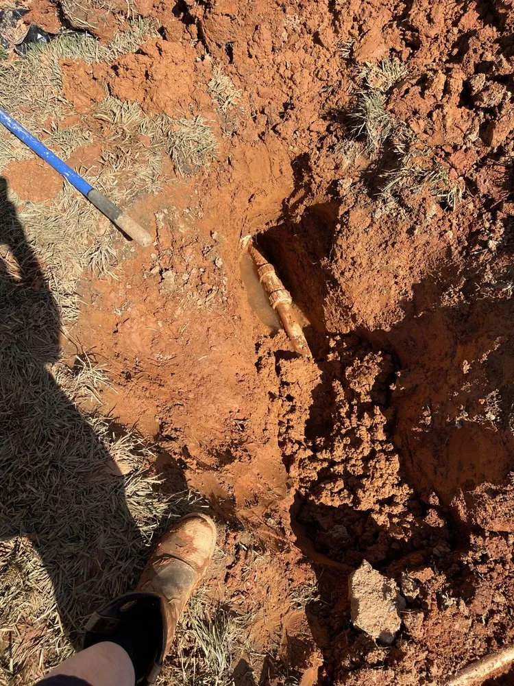 Slide of Ace of Drains and More