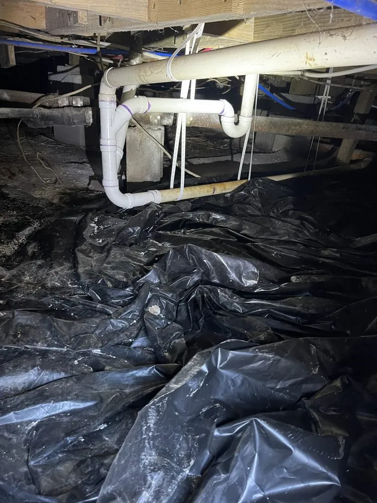 Slide of Ace of Drains and More