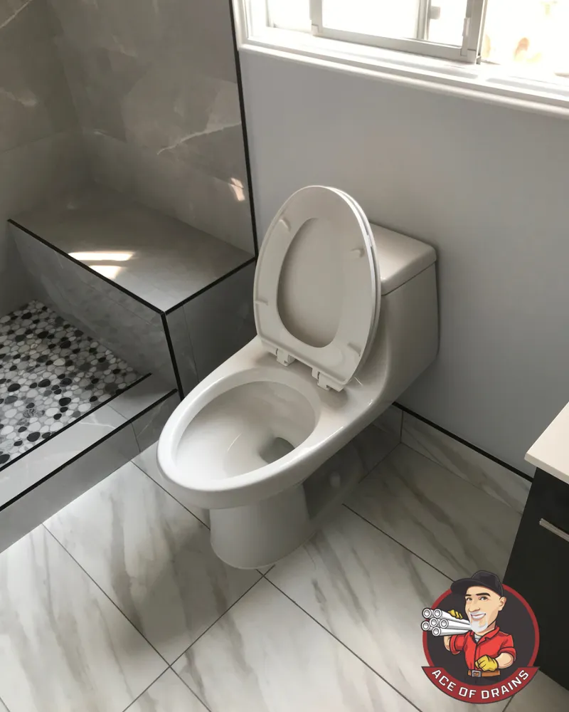 Slide of Ace Of Drains