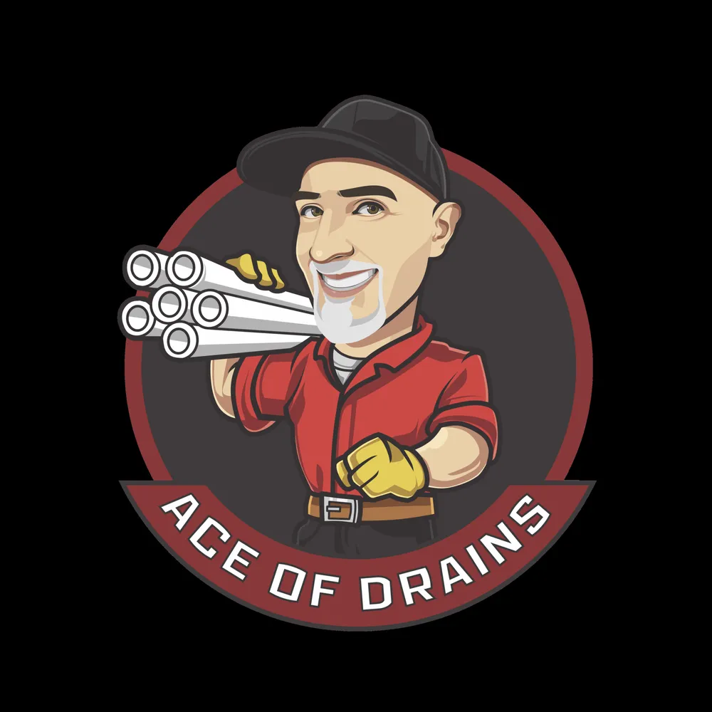 Slide of Ace Of Drains
