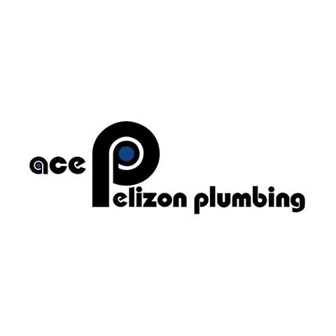 Slide of Ace Pelizon Plumbing