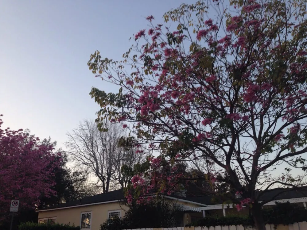 Slide of Ace Plumbing & Backflow