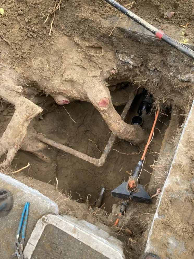 Slide of Ace Plumbing & Rooter