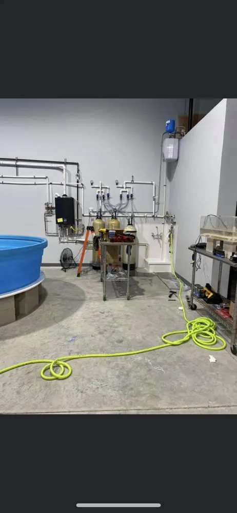 Slide of Ace Plumbing