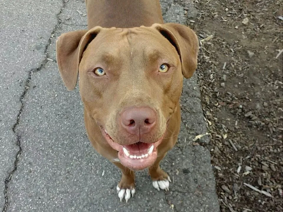 Slide of Ace Plumbing