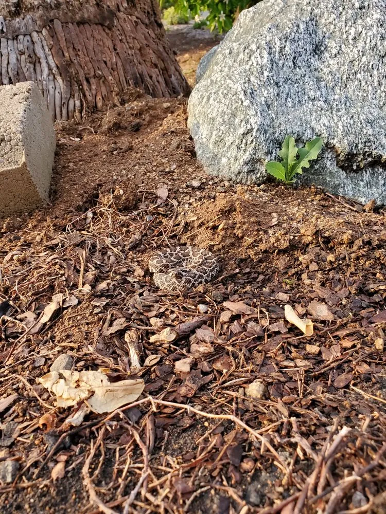 Slide of Ace Plumbing