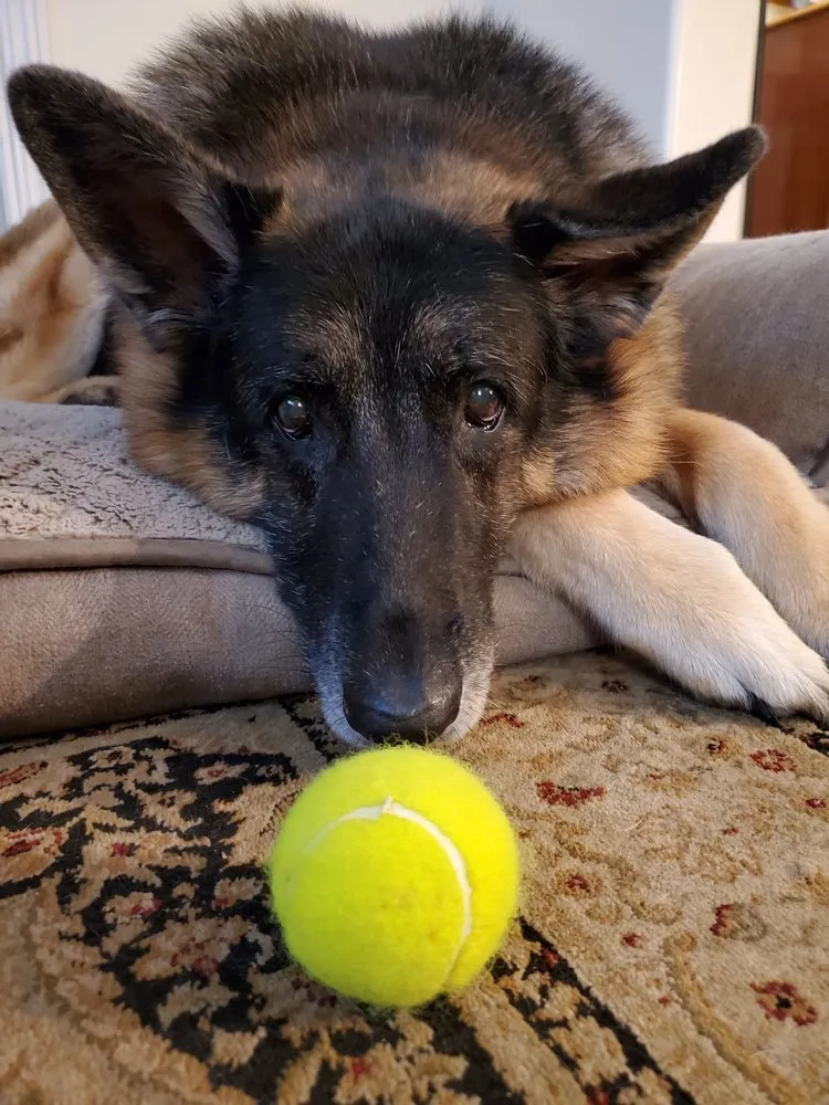 Slide of Ace Plumbing