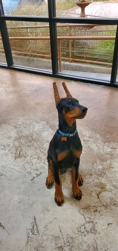 Emergency leak detection experts serving Sacramento, CA - Ace Plumbing