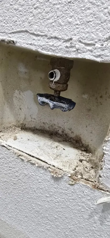 Trusted emergency plumbing service in Las Vegas, NV - ACE Plumbing services