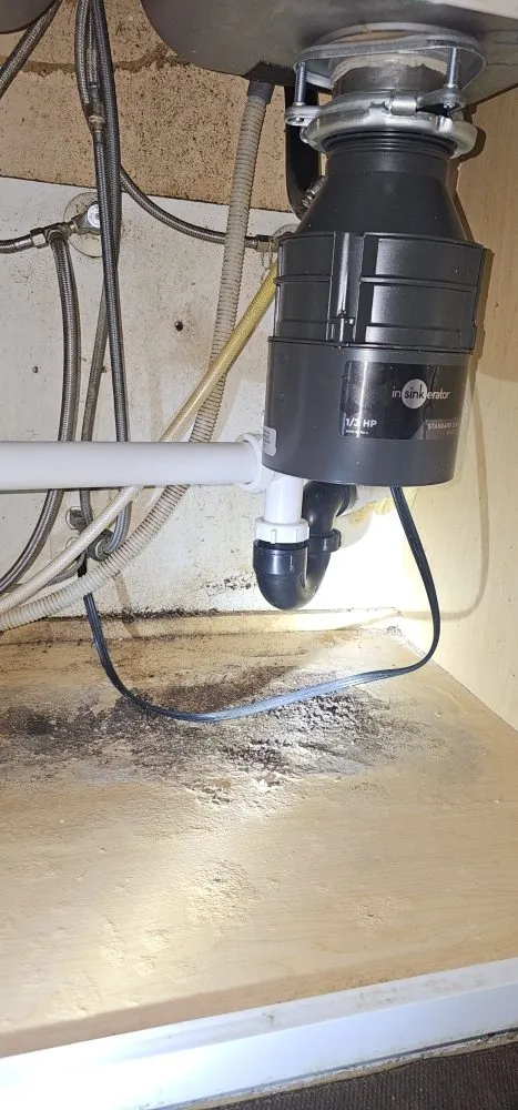 Affordable drain cleaning in Las Vegas, NV by ACE Plumbing services