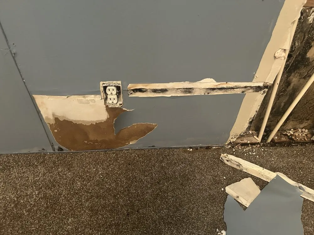 Reliable drain cleaning for homes in New Caney, TX by Ace Remolding