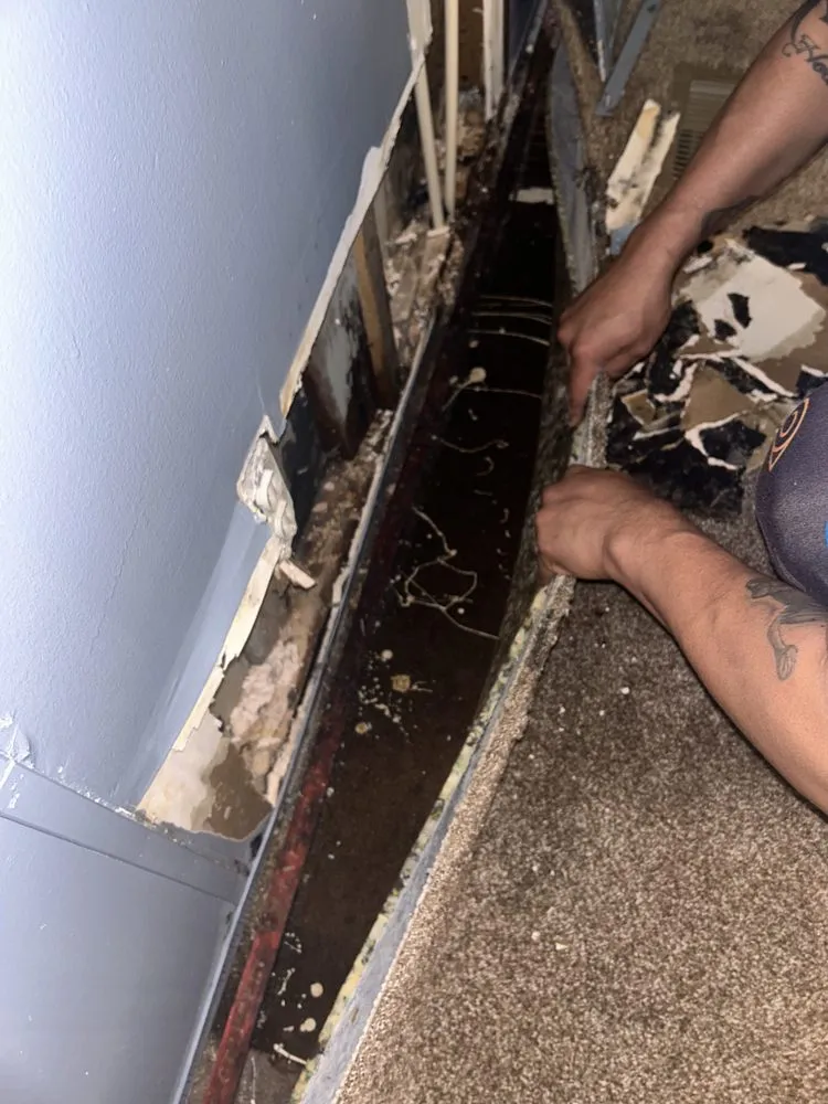 Affordable emergency plumbing service in New Caney, TX - Ace Remolding