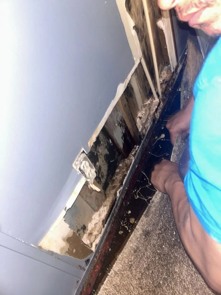 Top-rated emergency plumbing service in New Caney, TX - Ace Remolding