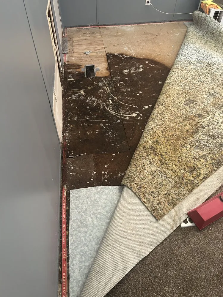 Quality leak detection experts serving New Caney, TX - Ace Remolding