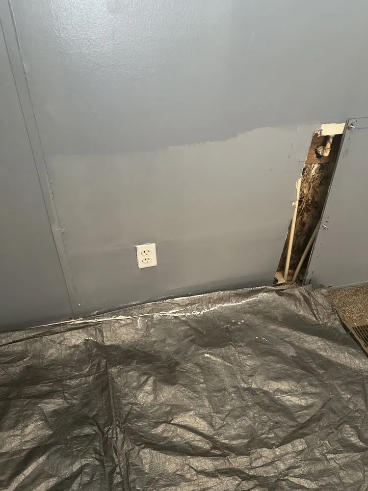 Reliable drain cleaning for homes in New Caney, TX by Ace Remolding