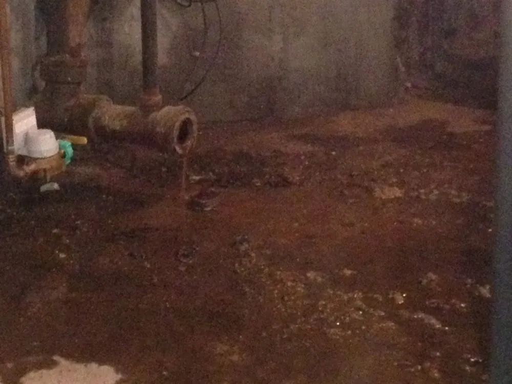 Slide of Ace Sewer and Drain